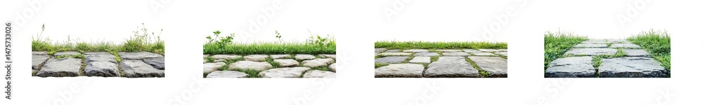Poster set of paved walkway with grass isolated on transparent background
