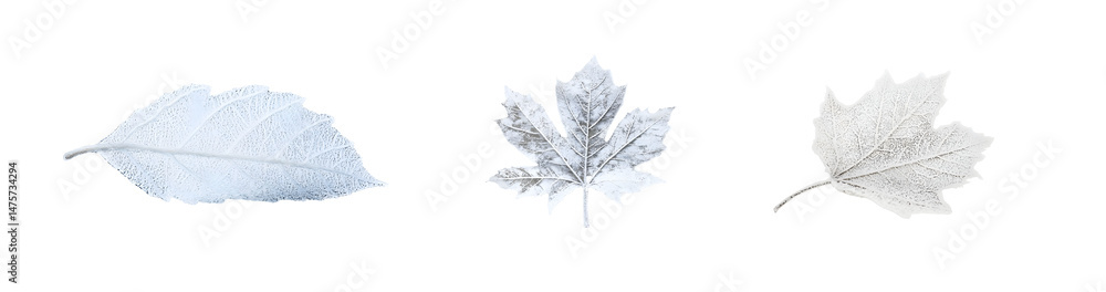 Poster set of winter design elements arranged in a horizontal composition. isolated on transparent backgrou