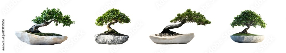 Poster multiple bonsai trees in decorative pots. isolated on transparent background