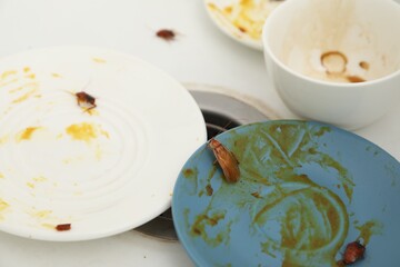 Cockroaches crawling on dirty dishes in kitchen sink, closeup