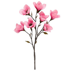 Fototapeta premium Pink magnolia blossom floral design on white background on transparent background