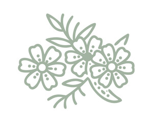 Angelsword Leptospermum Flower Line Art Illustration