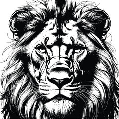 Illustration of a lion on a white background