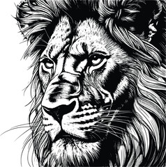 Illustration of a lion on a white background