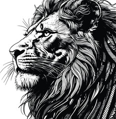 Illustration of a lion on a white background © Ekamame