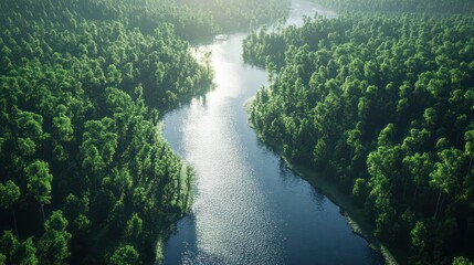 Aerial view river flowing through lush forest
