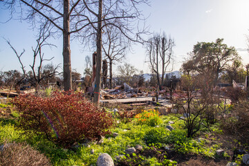 Homes destroyed in the Altadena wildfires in Altadena California USA