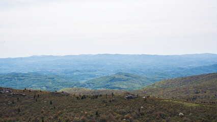 Grayson Highland State Park, NC mountain landscape in the morning
