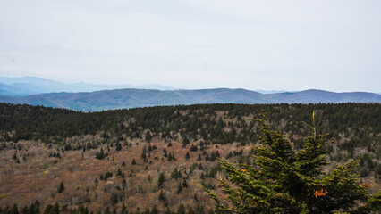 Grayson Highland State Park, NC mountain landscape in the morning
