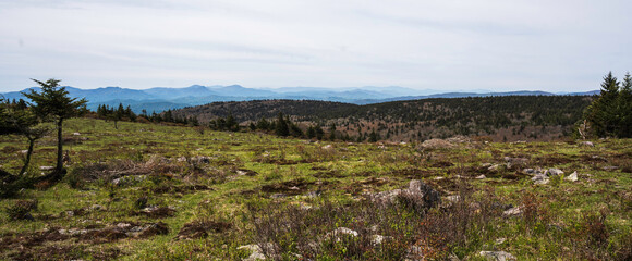 Grayson Highland State Park, NC mountain landscape in the morning
