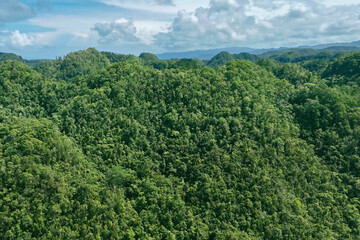 Obraz premium Tropical Rainforest Canopy and Rolling Hills, Northern Mindanao