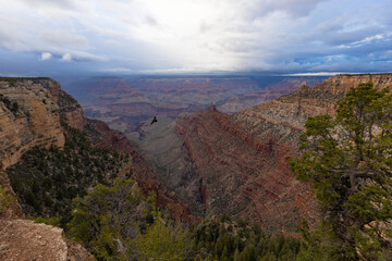Beautiful View at Grandview Point in the Grand Canyon - Arizona
