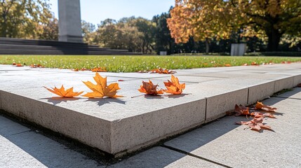Autumnal park walkway edged with light gray stone Fallen maple leaves rest on the edge of the path Sunlight highlights the leaves and stone Park, monument, and trees are visible in the background