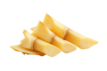 Bamboo shoot rings forming circle overhead, isolated on transparent background