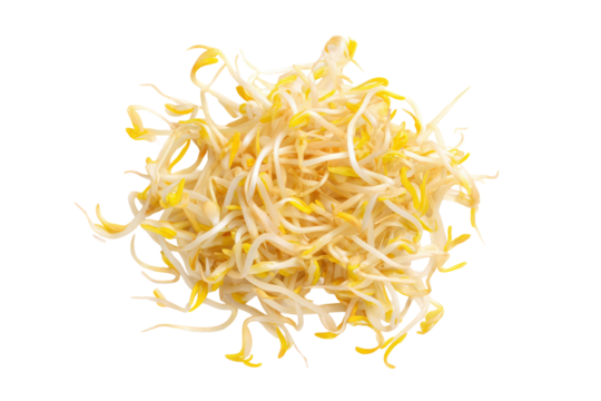 Bean sprouts loosely scattered overhead flat-lay, isolated on transparent background