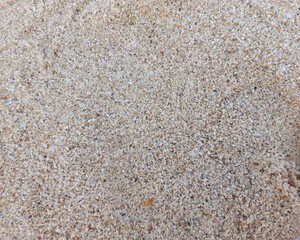 Fine Beach Sand Close-Up Texture Background