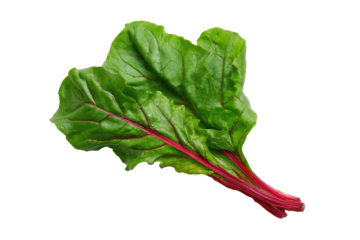 Beet greens gentle wave pattern overhead flat-lay isolated on transparent background