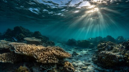 Fototapeta premium Underwater Coral Reef with Sunlight Streaming Through Waves in a Vibrant Marine Environment