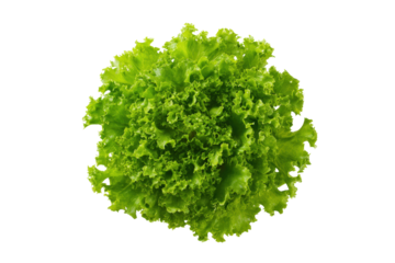 Curly lettuce loose leaves layered diagonally from corner to corner across pristine flatlay, ruffled margins casting playful shadows, isolated on transparent background
