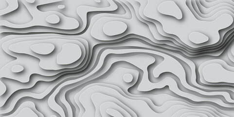 Fototapeta premium Abstract wavy line paper cut white background. Topographic geometric map relief texture with curved layers and shadow. Abstract soft white background with waves, Abstract realistic papercut image. 
