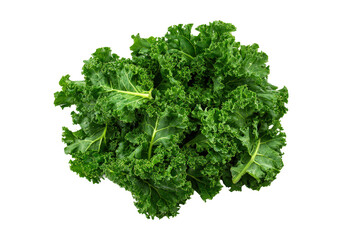 Fototapeta premium Kale individual leaves curved fan across white flatlay isolated on transparent background