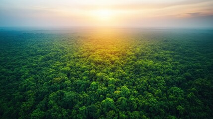 Aerial view captures the stunning sunset glow over a vibrant green tropical forest canopy landscape.