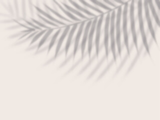 ヤシの葉の影が壁に映る背景