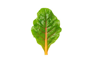 Fototapeta premium Healthy swiss chard flat lay stock picture isolated on transparent background elevates salad packaging