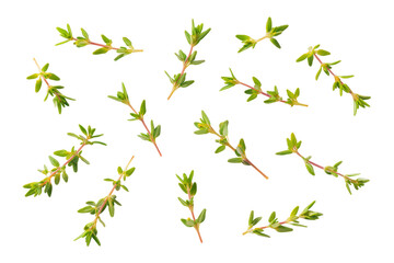 Fresh thyme sprig flat-lay photo isolated on transparent background adds aromatic herbal flair