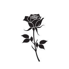 Silhouettes of roses
