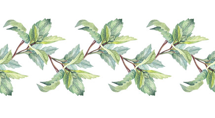 Watercolor seamless border with bud Dahlia and green leaves on white background. Hand-drawn floral botanical plant. Summer autumn flower. Florist wedding celebration card. Pim for wallpaper wrapping