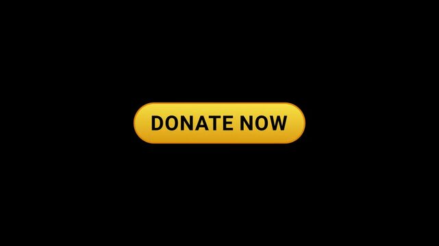 Donate now Yellow Shine Button Animation