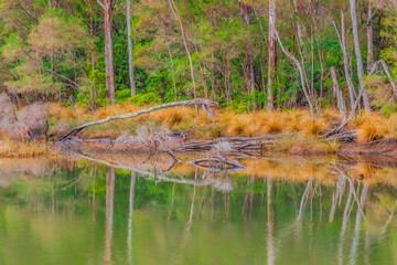 The calm after the storm by the water