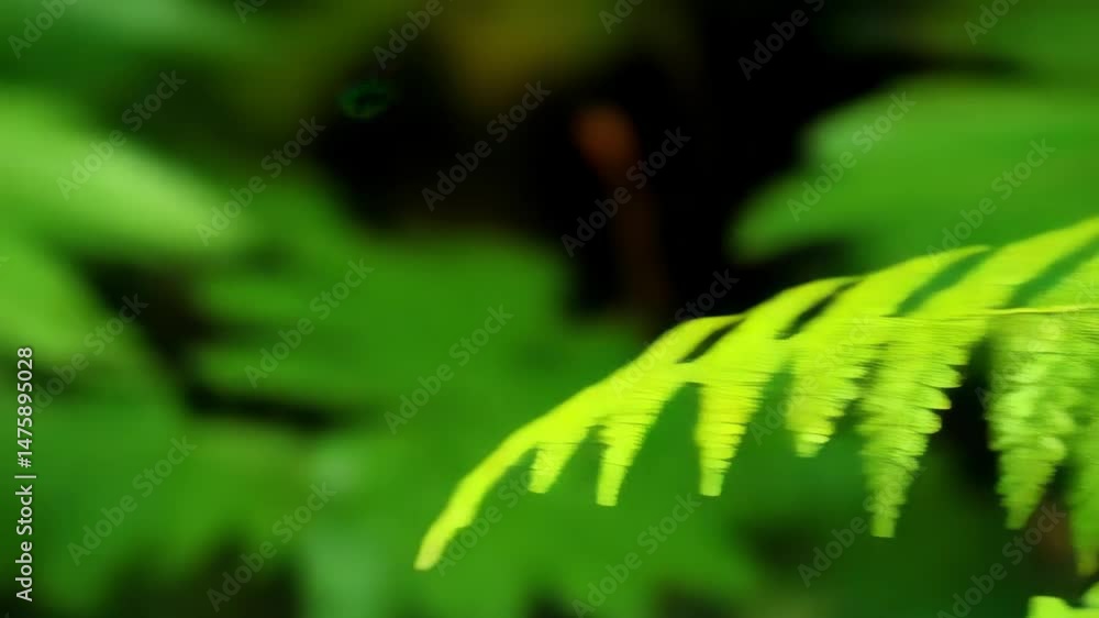 Poster close-up of vibrant green fern frond displaying natural fractal patterns and textures in a forest en