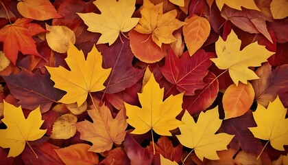 Fototapeta premium A beautiful composition featuring a variety of colorful autumn leaves in a flat lay arrangement.
