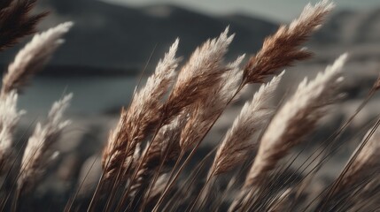 Serene Landscape with Soft Focused Golden Grass in Natural Setting Under Gentle Light Condition