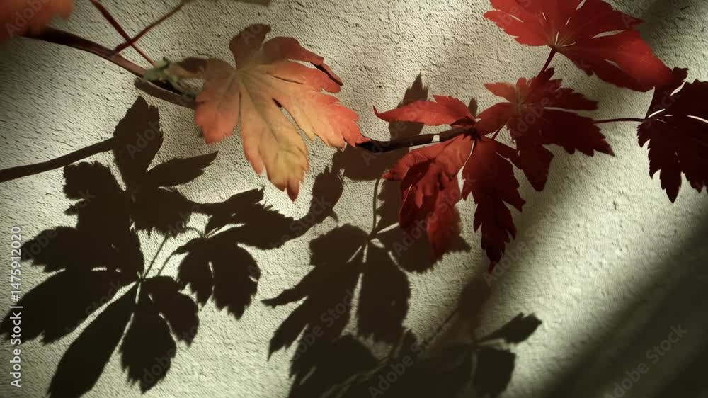 Poster branch with red and orange leaves casting shadows on textured beige wall, creating a nature pattern 