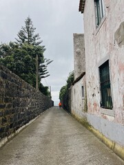 Long alley to the ocean in the Azores, Portugal