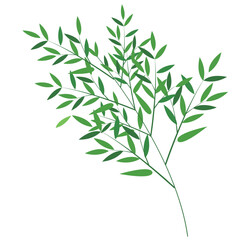 七夕　笹　木　葉　アイコン