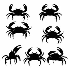 Silhouette of Crab: Captivating silhouette of crabs, each poised, their forms defined in stark contrast, presenting a captivating array of marine life.