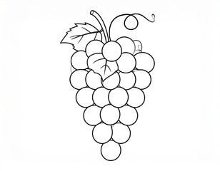 illustration of grapes fruit for coloring book