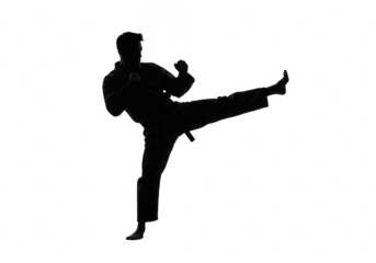 Silhouette of fighter kicking isolated on transparent background