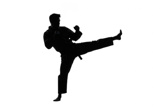 Silhouette of fighter kicking isolated on transparent background