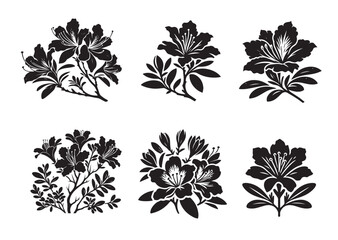 Azalea Flower Silhouette Vector Set
