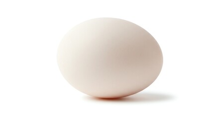 Single Chicken Egg on White Background