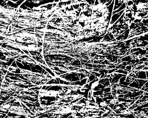 Grunge texture of a Detailed black fiber texture on transparent PNG. Perfect for nature, craft, and textile designs. High-res overlay for posters and creative projects.