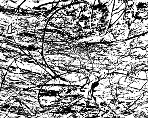 Obraz premium Grunge texture of a Detailed black fiber texture on transparent PNG. Perfect for nature, craft, and textile designs. High-res overlay for posters and creative projects.