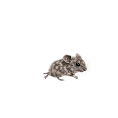 Adorable Grey Mouse Illustration - Perfect for Children's Books, Websites, and More