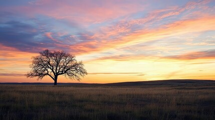 A soft, serene sunset over a wide-open meadow, with the silhouette of a majestic tree breaking the horizon.