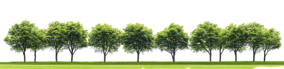 Fototapeta premium Row of Lush Trees in a Green Meadow